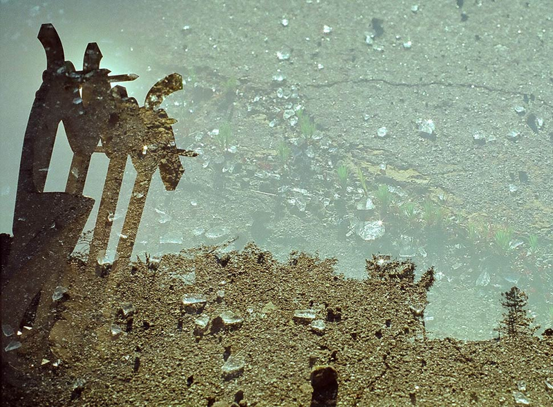 Illustration for article titled Shooting Challenge: Double Exposure, Gallery 2